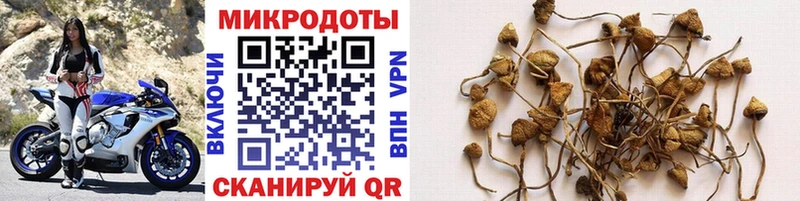 Галлюциногенные грибы мухоморы  Балей 