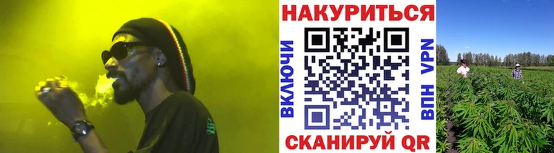 где купить наркоту  Балей  Каннабис ГИДРОПОН 